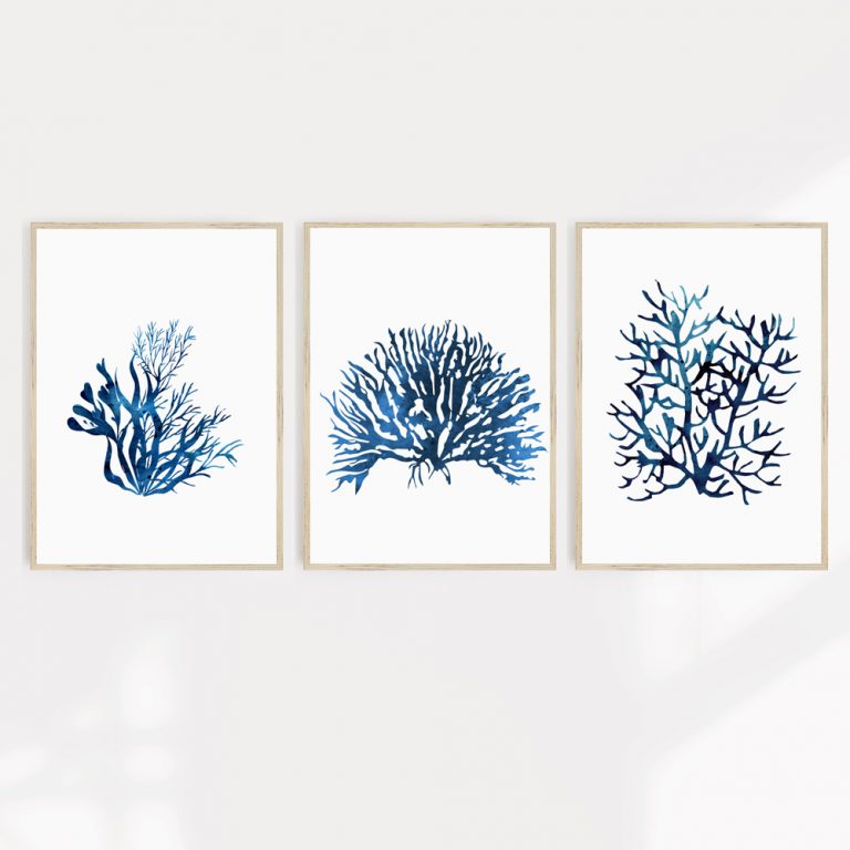 Hamptons Wall Art Prints X 3 (excludes Frames)