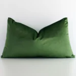 Forest green solid-coloured cushion leans elegantly against a white wall. It has been crafted from a high quality velvet material and has a rectangle. shape.